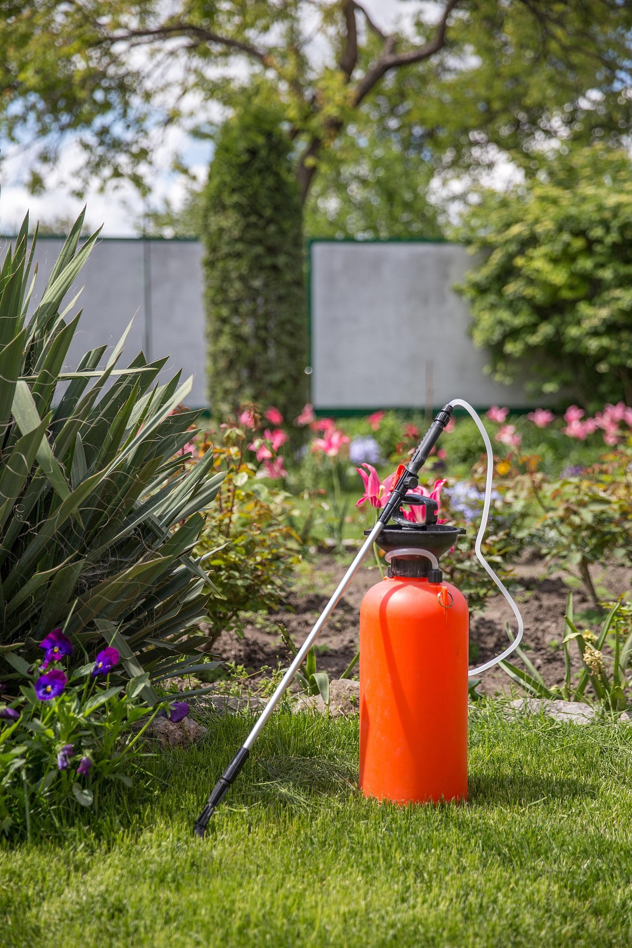 Fertilization Services